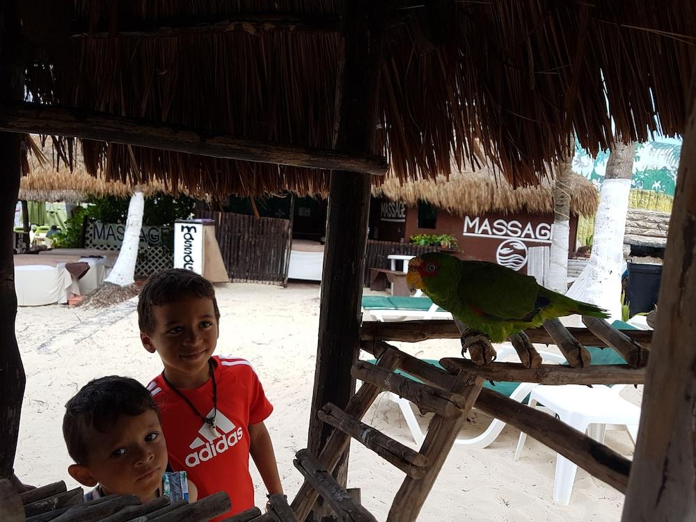 Hotel Costa Del Mar à Playa del Carmen Extérieur photo